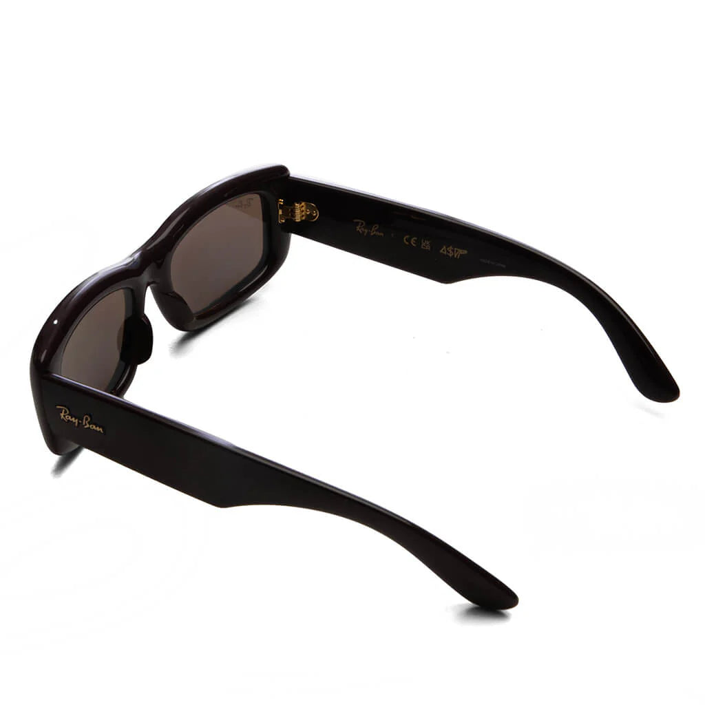 Ray Ban x AAP Rocky Kiliane Puffer Transparent Brown Frame Dark Brown Lens