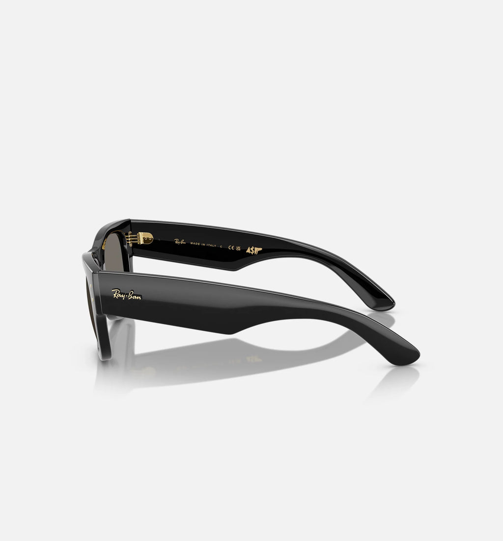 AAP Rocky x Mega Wayfarer Mens Sunglasses Black Gold