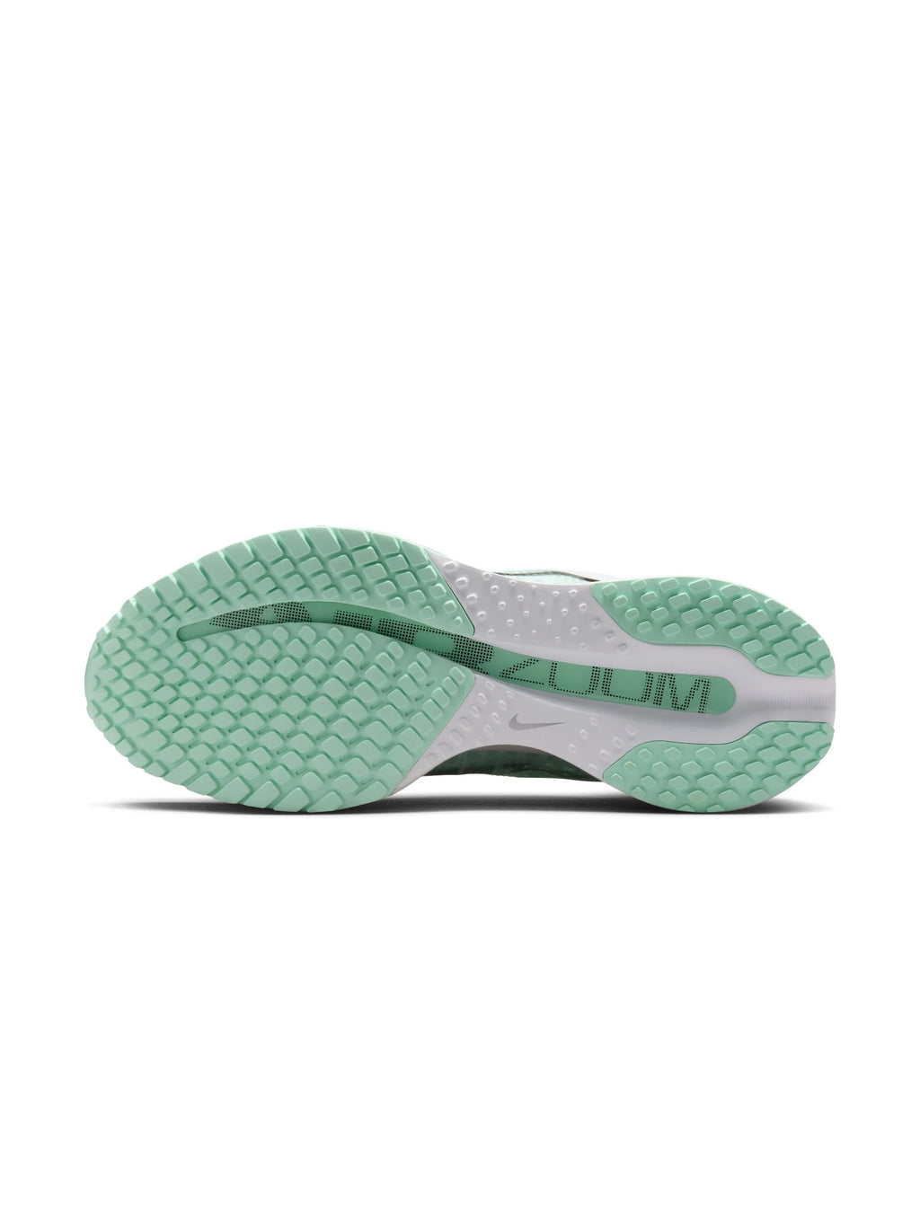 Nike Pegasus Premium Womens Shoes