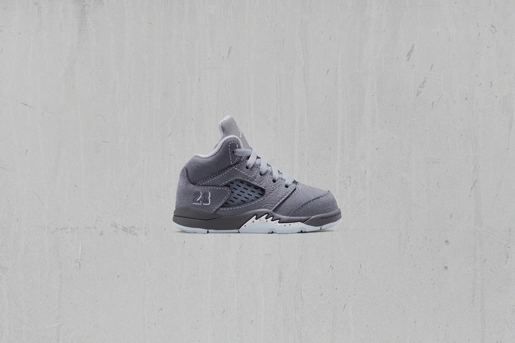 Air Jordan 5 Retro Wolf Grey TD Light Graphite White Wolf Grey