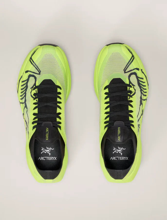 Mens Arcteryx Sylan 2