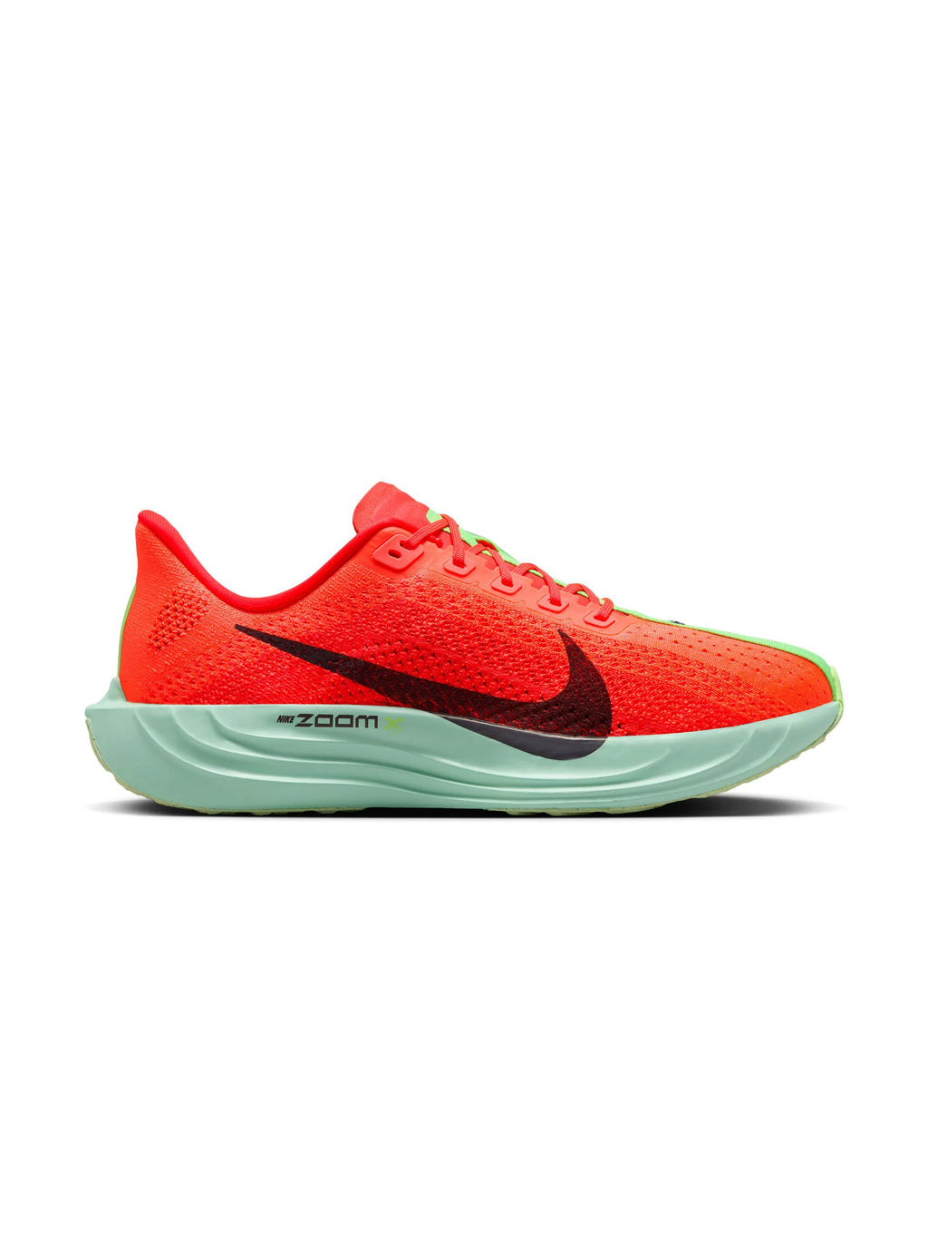 Nike Pegasus Plus Womens Shoes